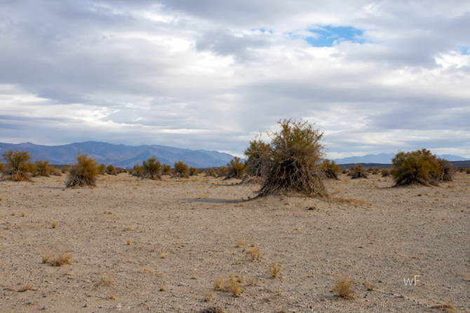 Photo of Devil's cornfield